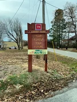 Photo of New Prospect Lookout Tower