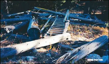 2000