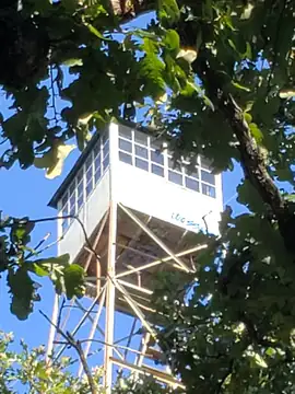 Photo of Perry Fire Tower