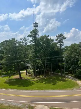 Photo of Morton Lookout Tower