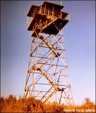 1960