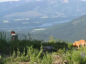 View from Minton Peak Lookout
