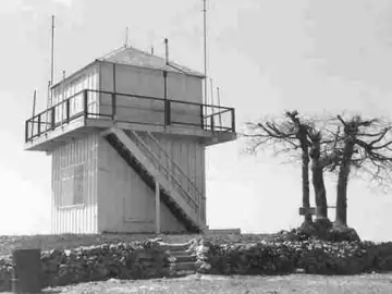 1961