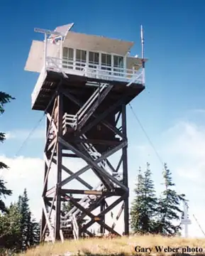 Middle Sister in 1995