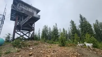 Dunn Peak
