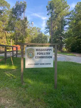 Photo of Hinds Lookout Tower
