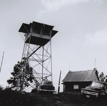 1950s photo