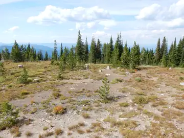 Photo of Horseshoe Lake Lookout SIte