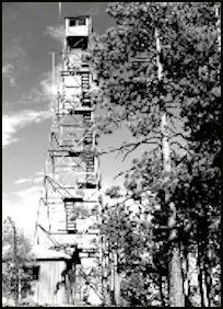 Photo of Washington Pass Lookout