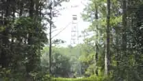 Photo of East Fire Tower