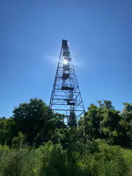 Photo of Pace Lookout Tower