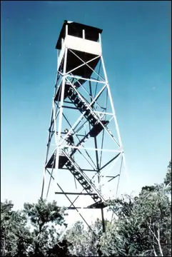 Photo of Signal Hill Lookout