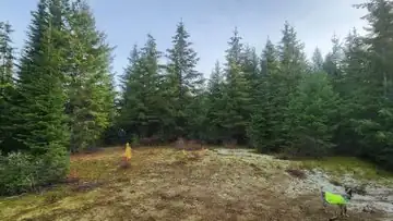 Windfall Peak Lookout