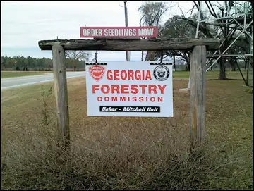Photo of Newton Firetower
