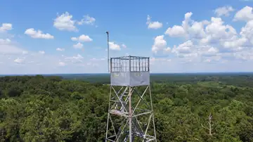 Photo of Wren Lookout Tower