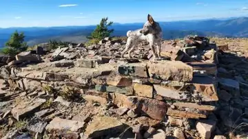 Grizzly Mountain Lookout