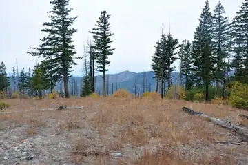 Slide Ridge Lookout site