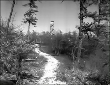 April 1956 NY State Dept. of Environmental Conservation photo