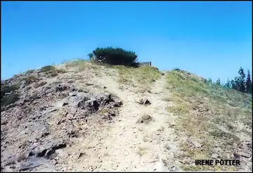 Photo of Timberwolf Lookout Site