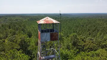 Photo of Poplar Creek Lookout Tower