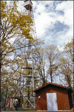Photo of Buffalo Tower