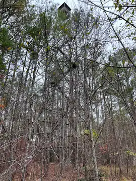 Photo of Moreland Lookout Tower