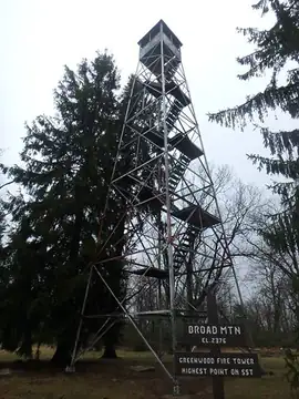 Photo of Greenwood Fire Tower