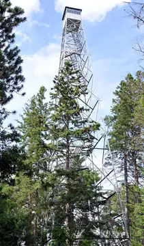 Photo of Gordon Lookout