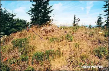 Photo of Christoff Lookout Site
