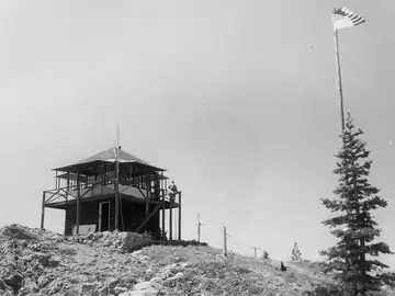 1964
