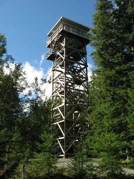 2009