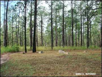 Photo of Clear Creek Lookout Site