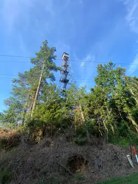 Photo of Skates Lookout Tower