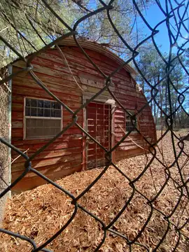 Photo of Webster Lookout Tower