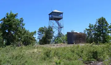 June 2010 photo