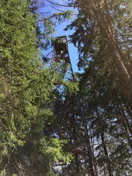 Photo of Cherry Springs Fire Tower