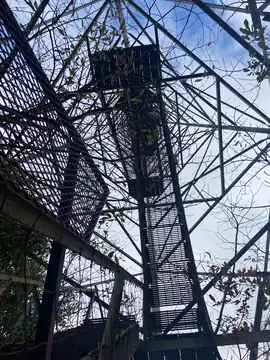 Photo of Tunica Lookout Tower