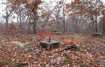 2009 photo