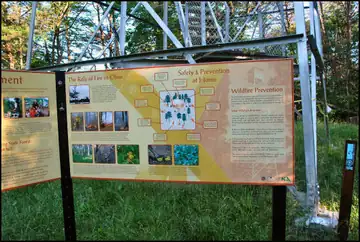 Photo of Ash Cave Fire Tower