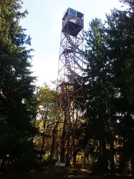 Loop Tower