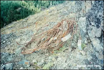 Cable 9/19/2000