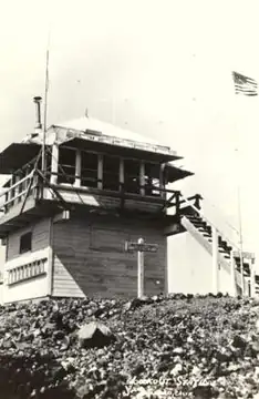 Circa 1940's