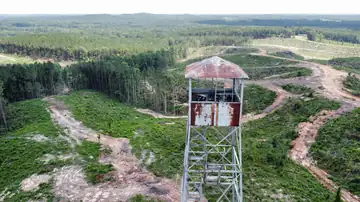 Photo of Mars Hill Lookout Tower