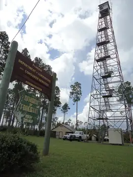 Photo of Eddy Fire Tower