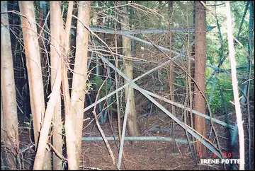 Tower lying on its side 7/8/2000