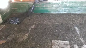 2013 interior