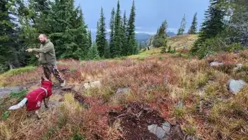 Fishhook Peak Lookout