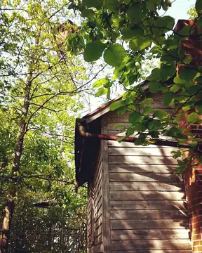 Watchman's Cabin