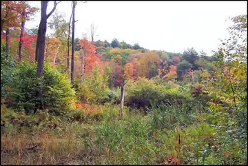 10/1/2009