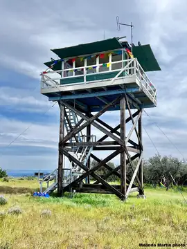 Tower Point in 2024